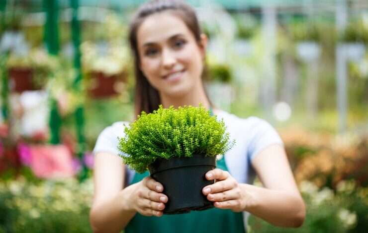 the benefits of plant nurseries webfreen.com