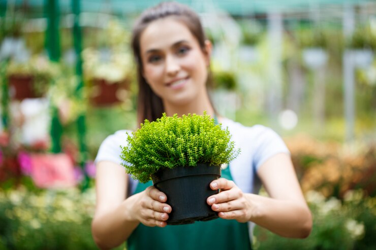 the benefits of plant nurseries webfreen.com